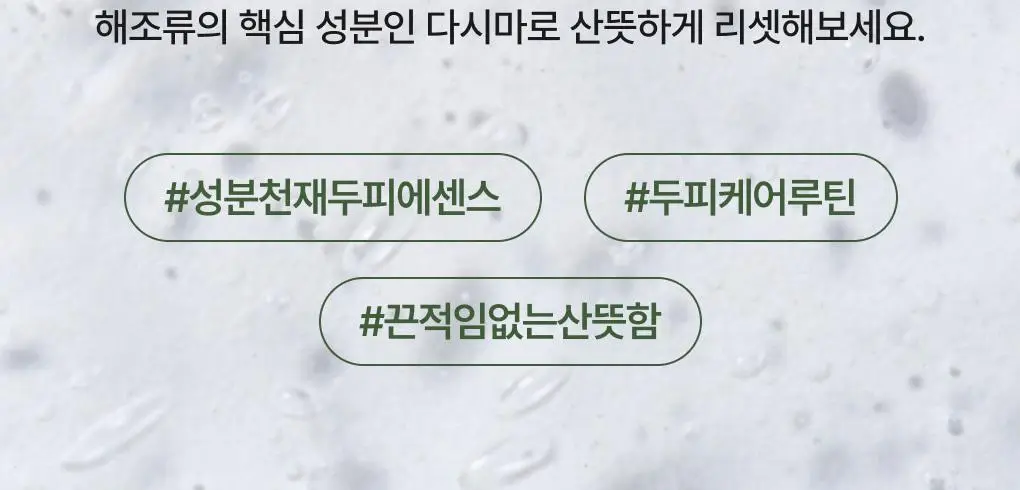 [성분천재/두피진정] 청미정 다시마 두피에센스 80ml 상세페이지 5